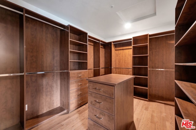 spacious closet with light hardwood / wood-style floors