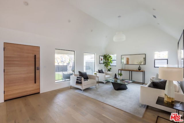 living room featuring high vaulted ceiling and light hardwood / wood-style flooring