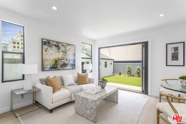 living room with light hardwood / wood-style flooring