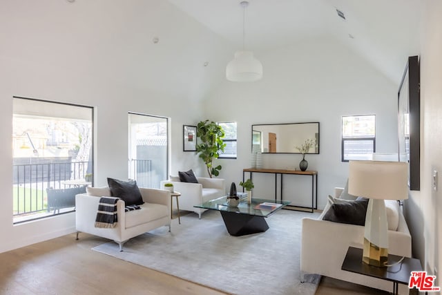 living room with light hardwood / wood-style flooring and high vaulted ceiling