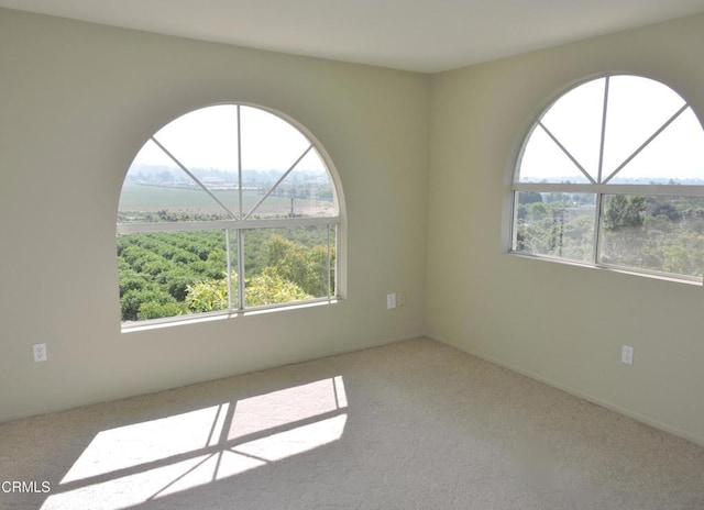 view of carpeted empty room