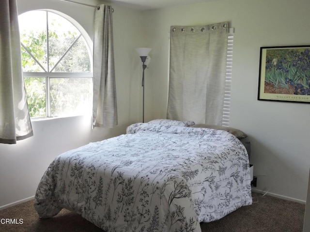 carpeted bedroom with multiple windows