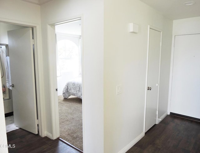 corridor featuring dark hardwood / wood-style floors