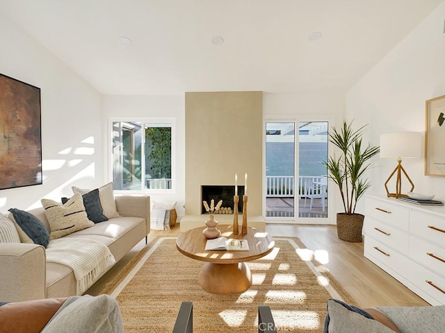 living room with light hardwood / wood-style flooring