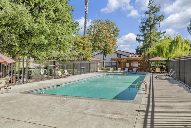 view of pool featuring a patio area