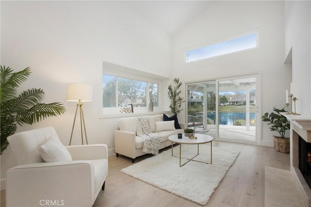 living room featuring high vaulted ceiling and light hardwood / wood-style flooring