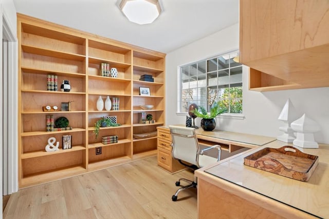 office area featuring light hardwood / wood-style floors