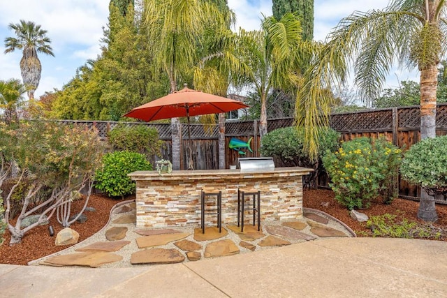 view of patio / terrace with an outdoor bar and exterior kitchen