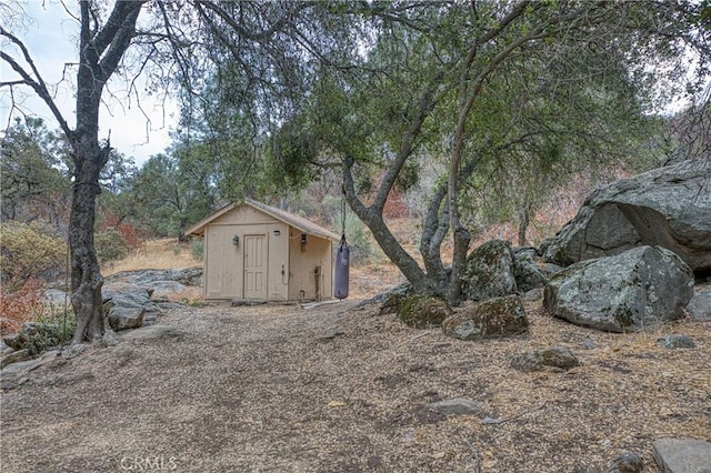 view of yard with a storage unit