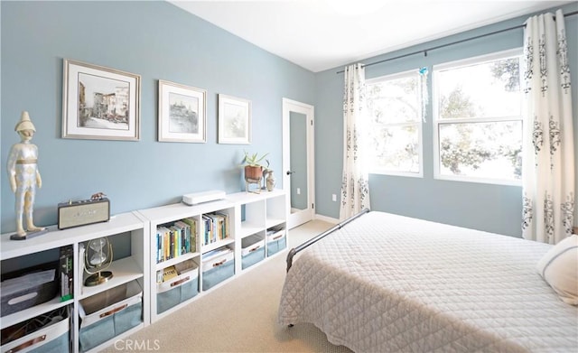 bedroom featuring carpet floors