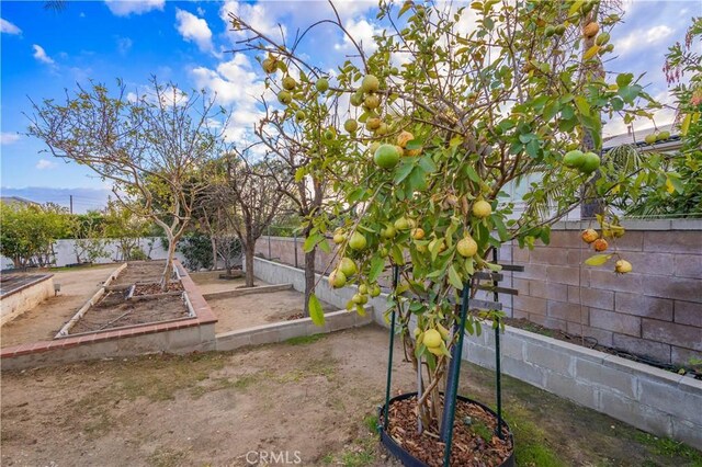 view of yard with a garden and a fenced backyard