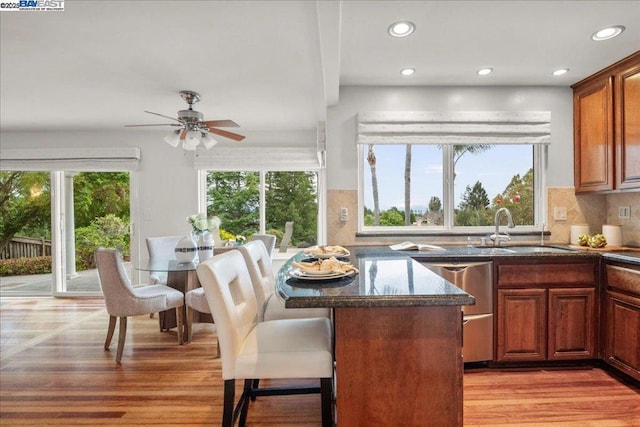 kitchen with a wealth of natural light, sink, and stainless steel dishwasher