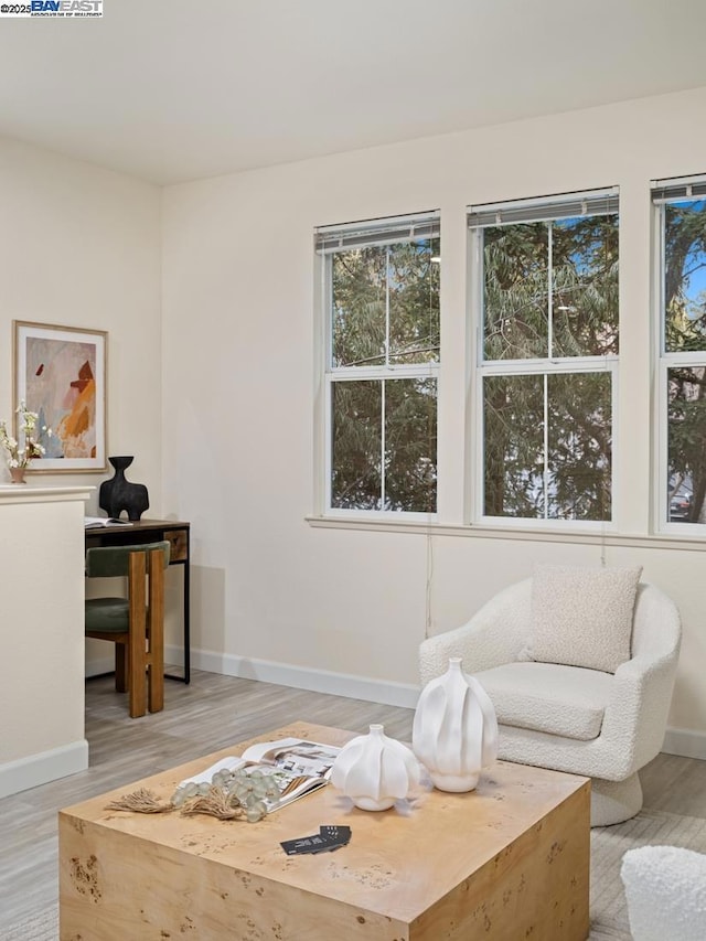 living area with light wood-type flooring