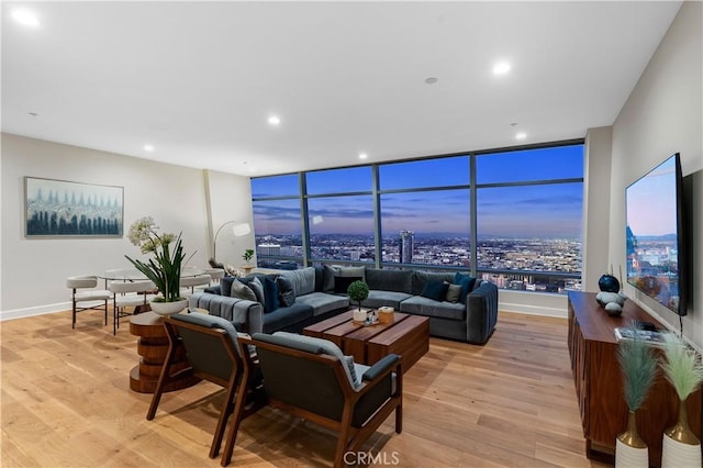 living room featuring light hardwood / wood-style floors