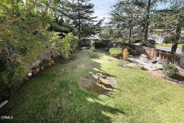 view of yard featuring a patio