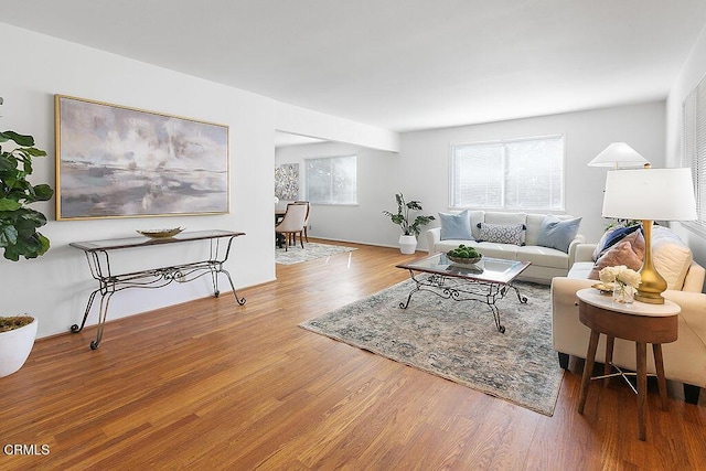 living room with wood-type flooring