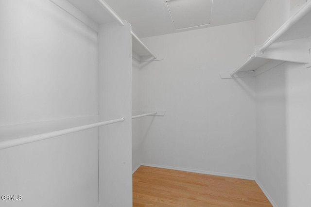 walk in closet with wood-type flooring