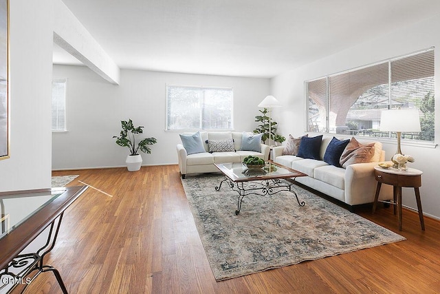 living room featuring hardwood / wood-style flooring