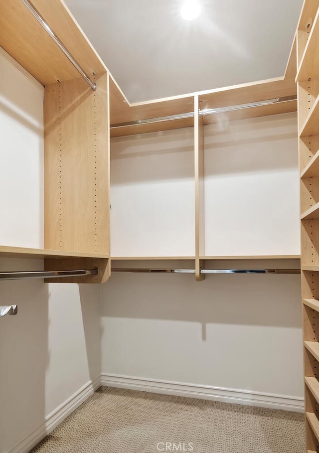 spacious closet featuring light carpet