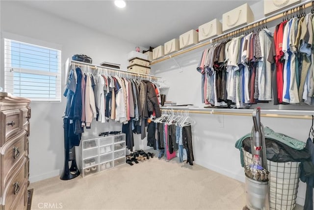 walk in closet featuring light carpet