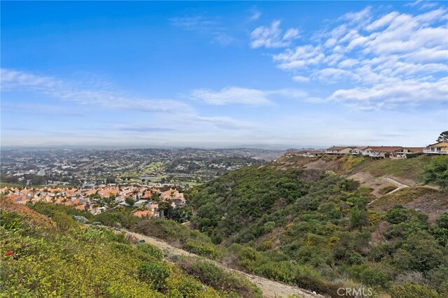 31002 Flying Cloud Dr, Laguna Niguel, CA 92677 - aerial view of residential area