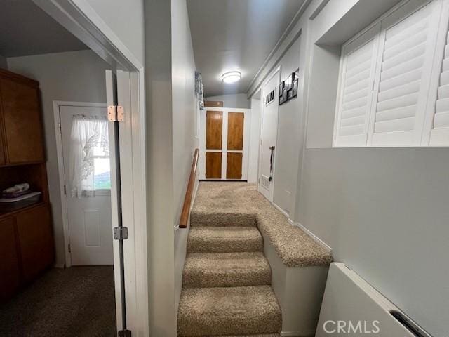 stairs featuring carpet floors