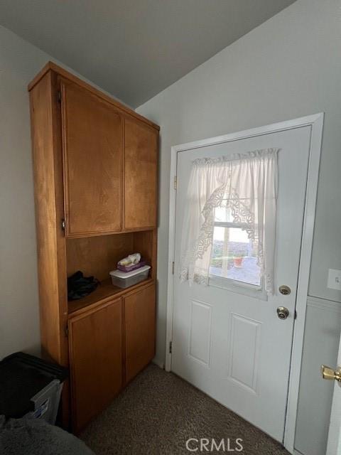 doorway with carpet floors