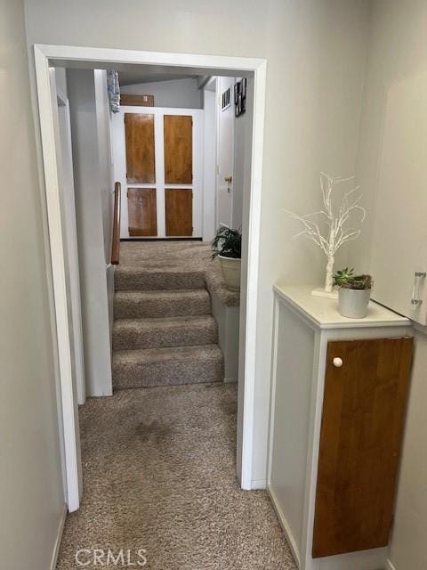 stairway featuring carpet floors and baseboards