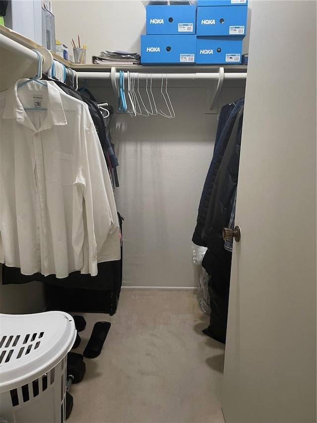 spacious closet featuring light carpet