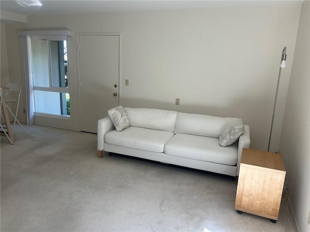 living area featuring carpet floors