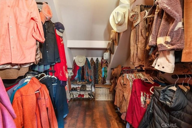 spacious closet featuring dark wood finished floors