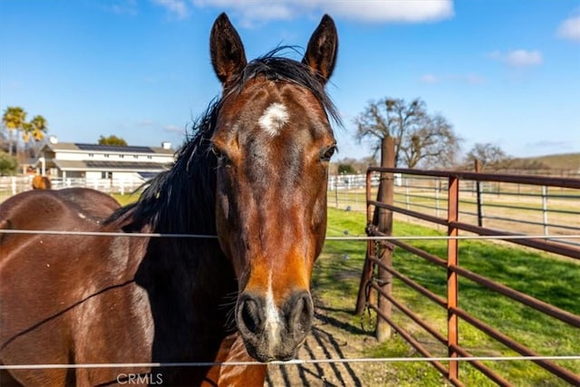 view of horse barn with a rural view