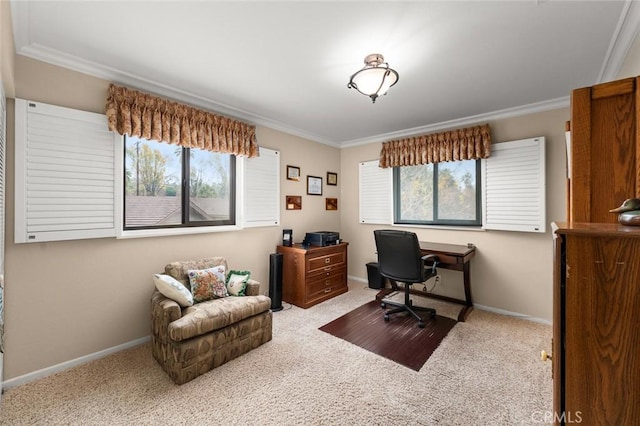 carpeted office with crown molding