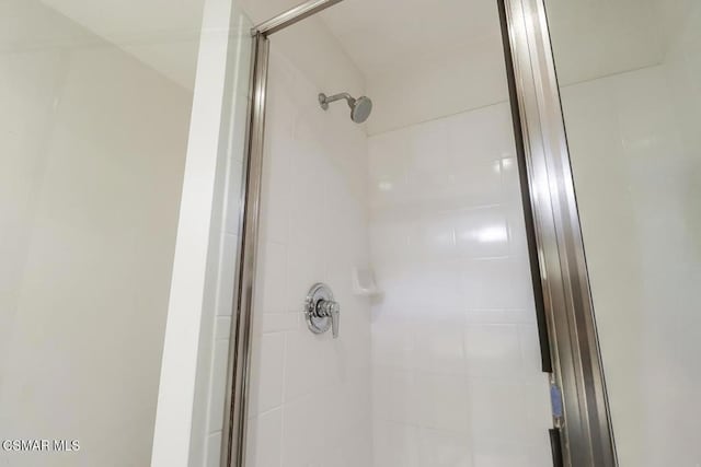 interior details featuring walk in shower