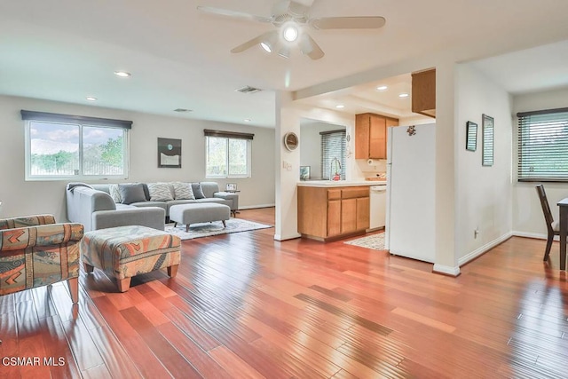 living room featuring sink, light hardwood / wood-style flooring, and ceiling fan