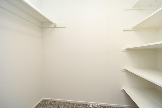 spacious closet featuring carpet floors