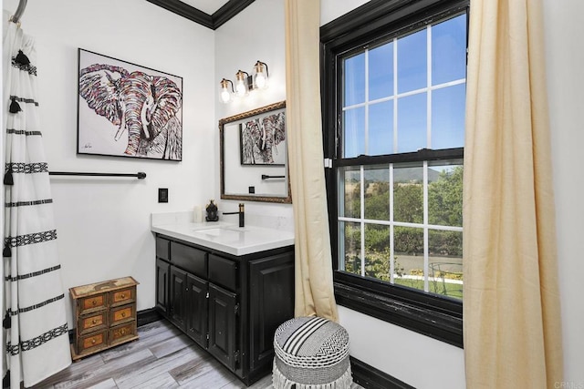 bathroom featuring vanity, crown molding, and wood-type flooring