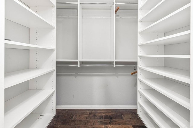 spacious closet featuring dark wood-type flooring