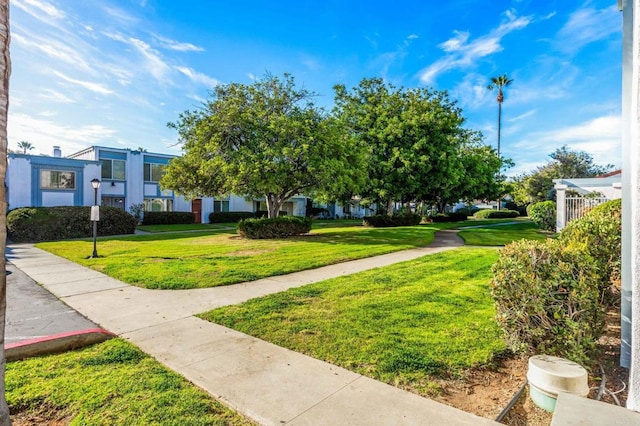 view of community with a yard