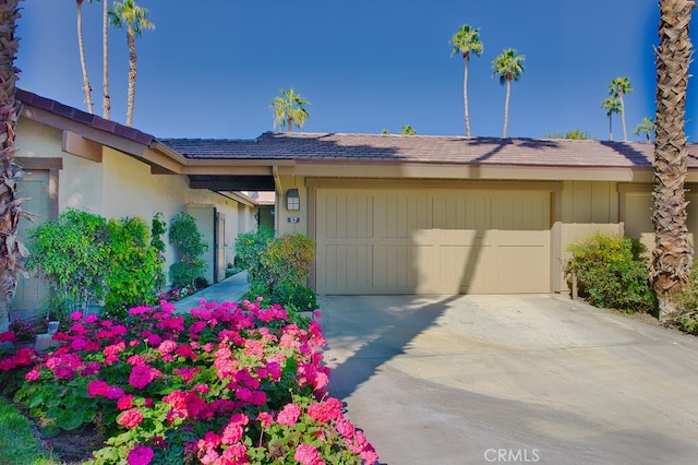57 Ponderosa Cir, Palm Desert, CA 92211 - ranch-style home with a garage, driveway, and stucco siding