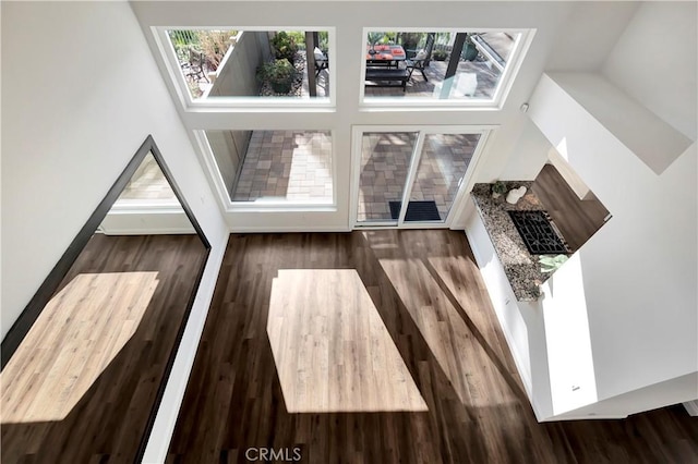 living room featuring a high ceiling and dark wood-type flooring