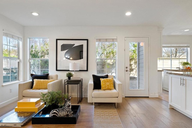 living area with light wood-type flooring