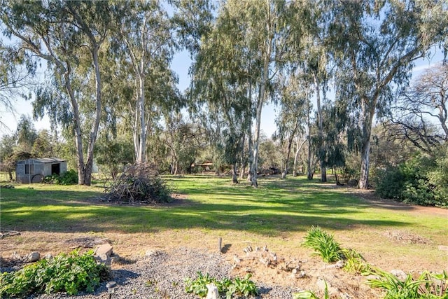 view of yard with a shed