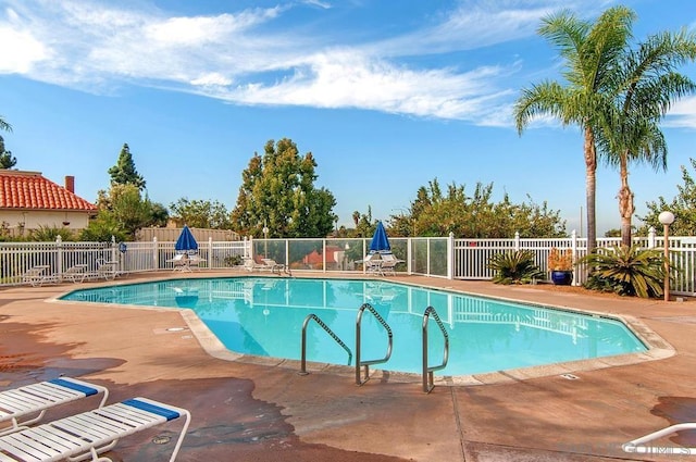 view of pool with a patio