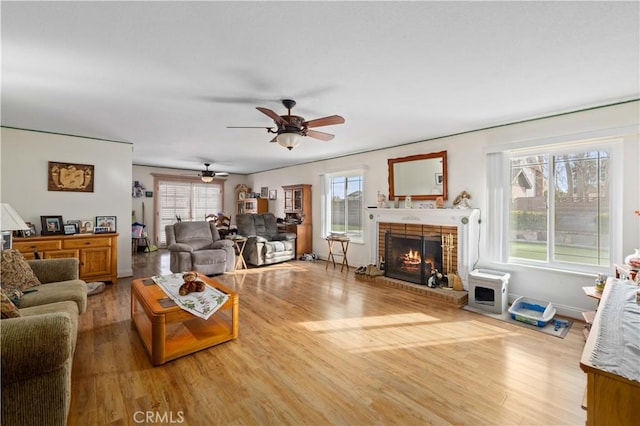 living room featuring hardwood / wood-style flooring, ceiling fan, and a fireplace