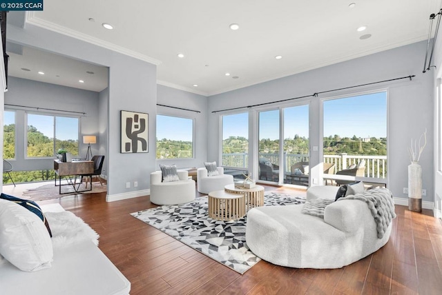 living room with crown molding, dark wood-type flooring, and plenty of natural light