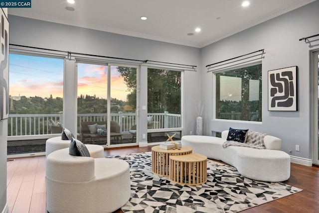 living room featuring crown molding and hardwood / wood-style floors