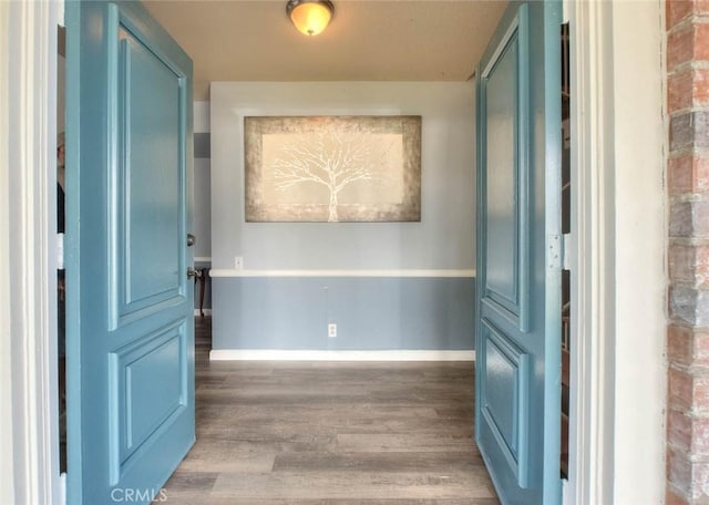 foyer entrance featuring dark wood-type flooring