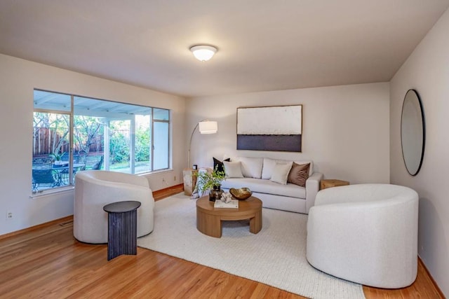 living room featuring wood-type flooring