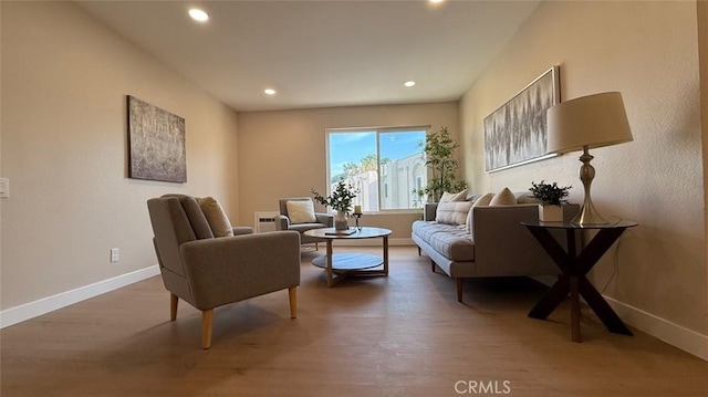 living area with wood-type flooring